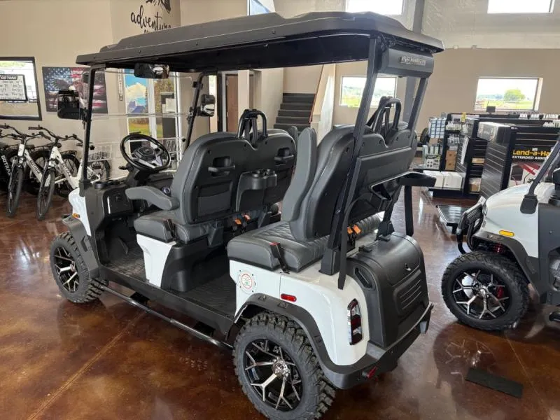 2026 Denago EV Rover XL New    Gen 3 - Photo 4