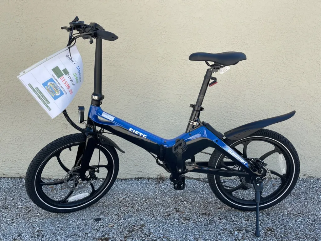 2024 BLAUPUNKT EBIKE FIETE - Main photo