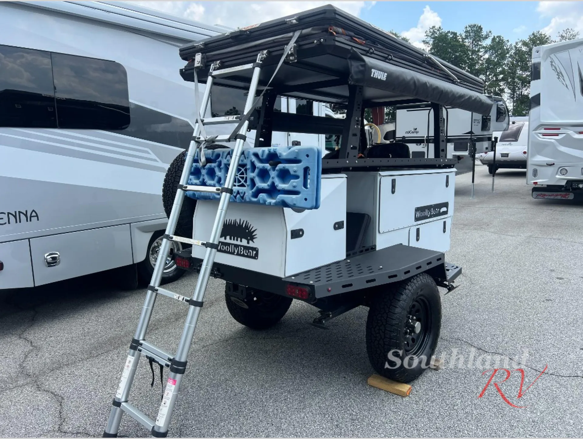 2022 Taxa Woolly Bear STANDARD - Photo 2