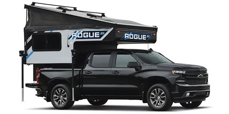 Palomino Rogue