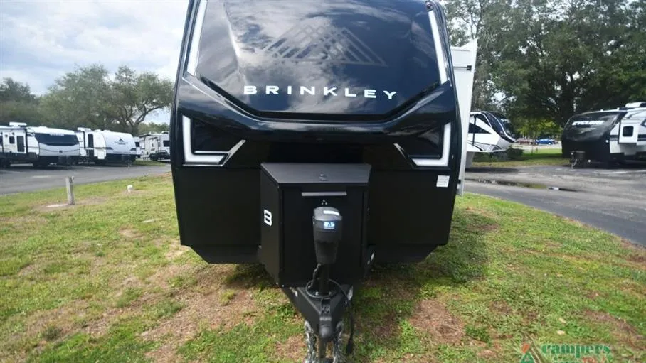 2025 Brinkley Model Z M310 - Photo 3