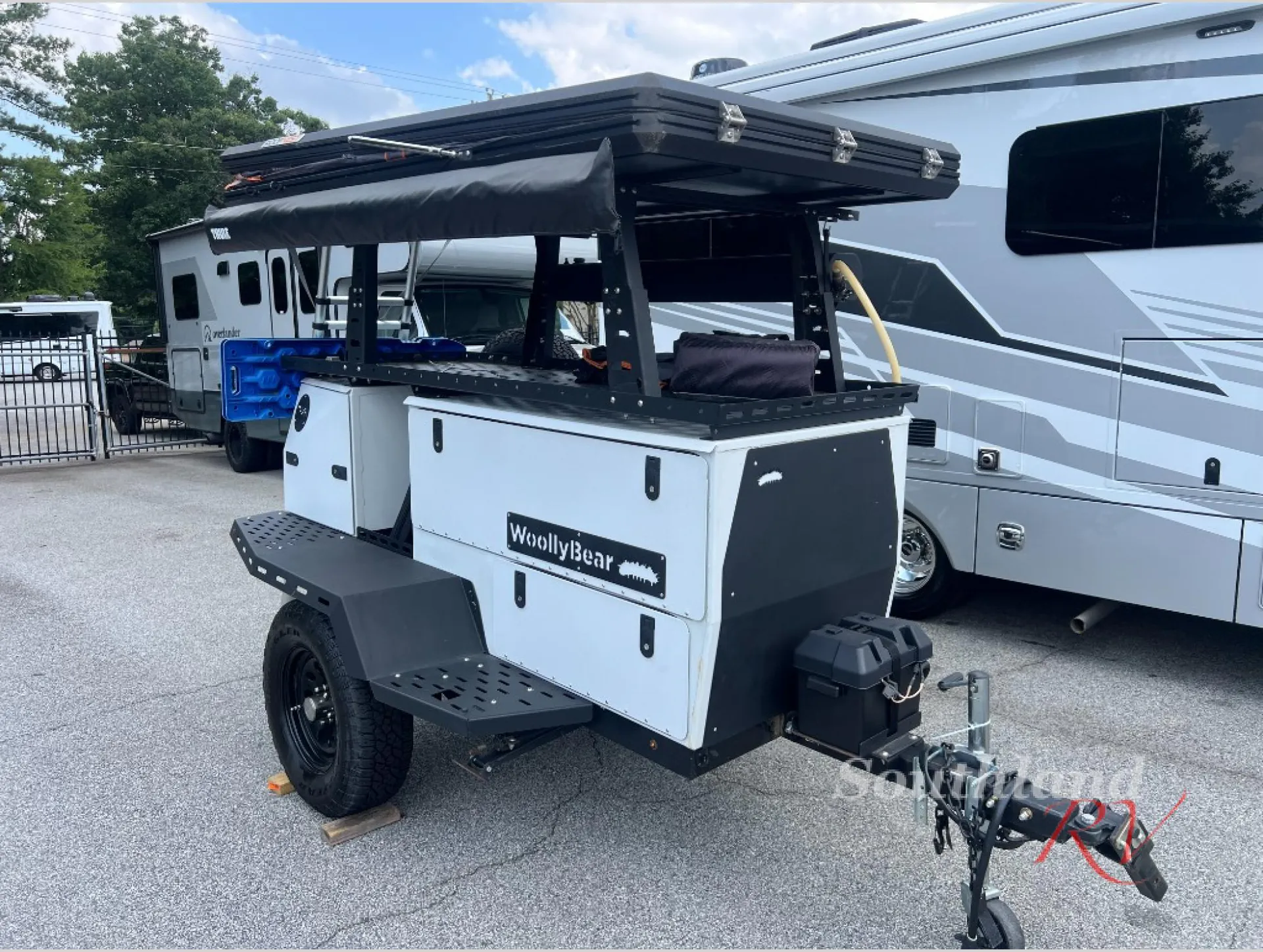 2022 Taxa Woolly Bear STANDARD - Main photo