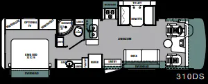 Forest River Georgetown 310DS floor plan