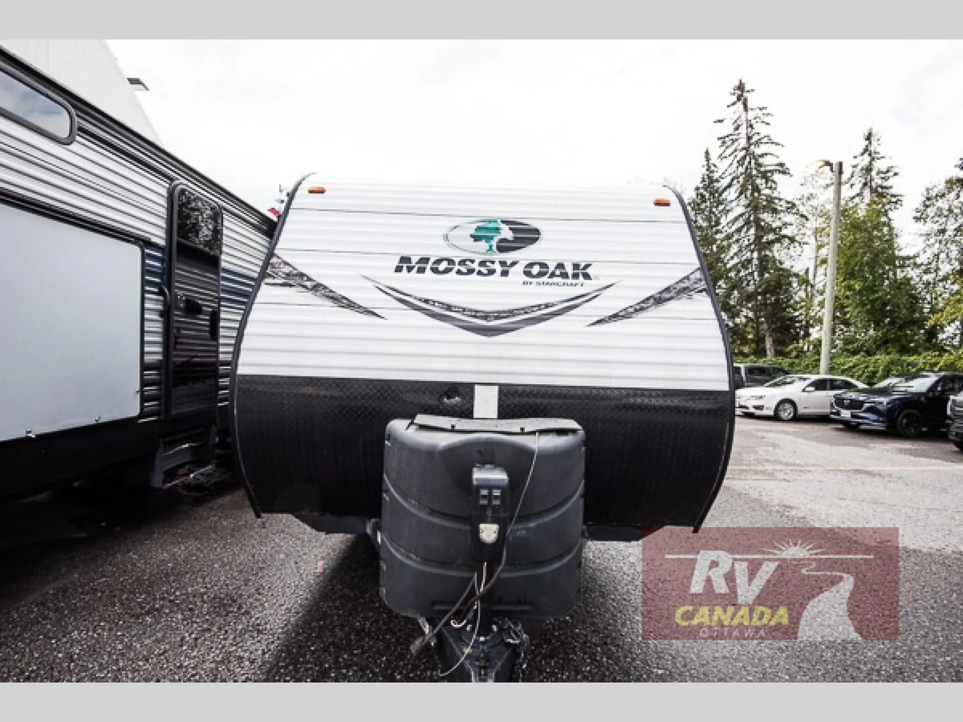2019 Starcraft Mossy Oak 21FB - Photo 3