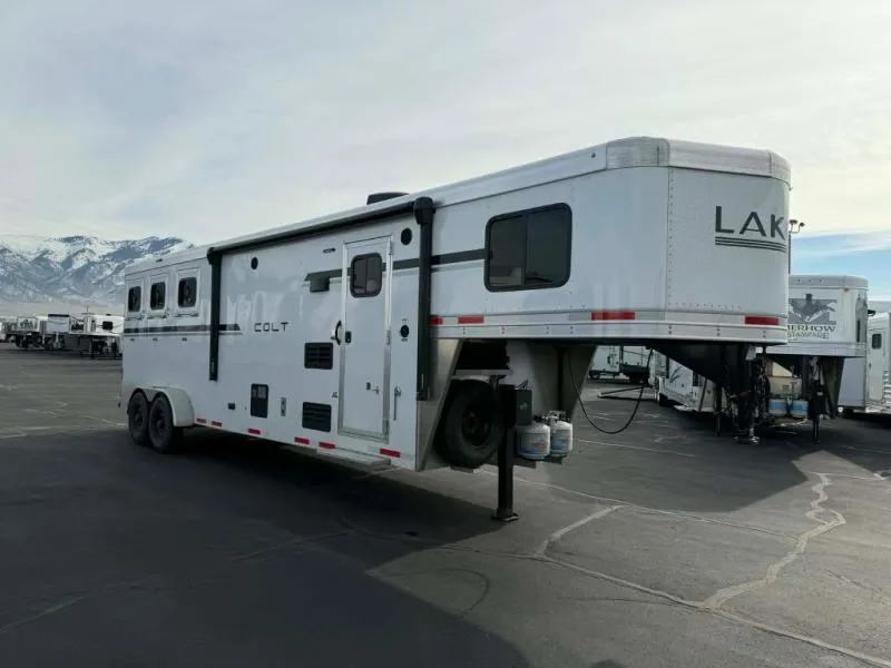 2026 Lakota Open Range Colt LQ 3 Horse - Main photo