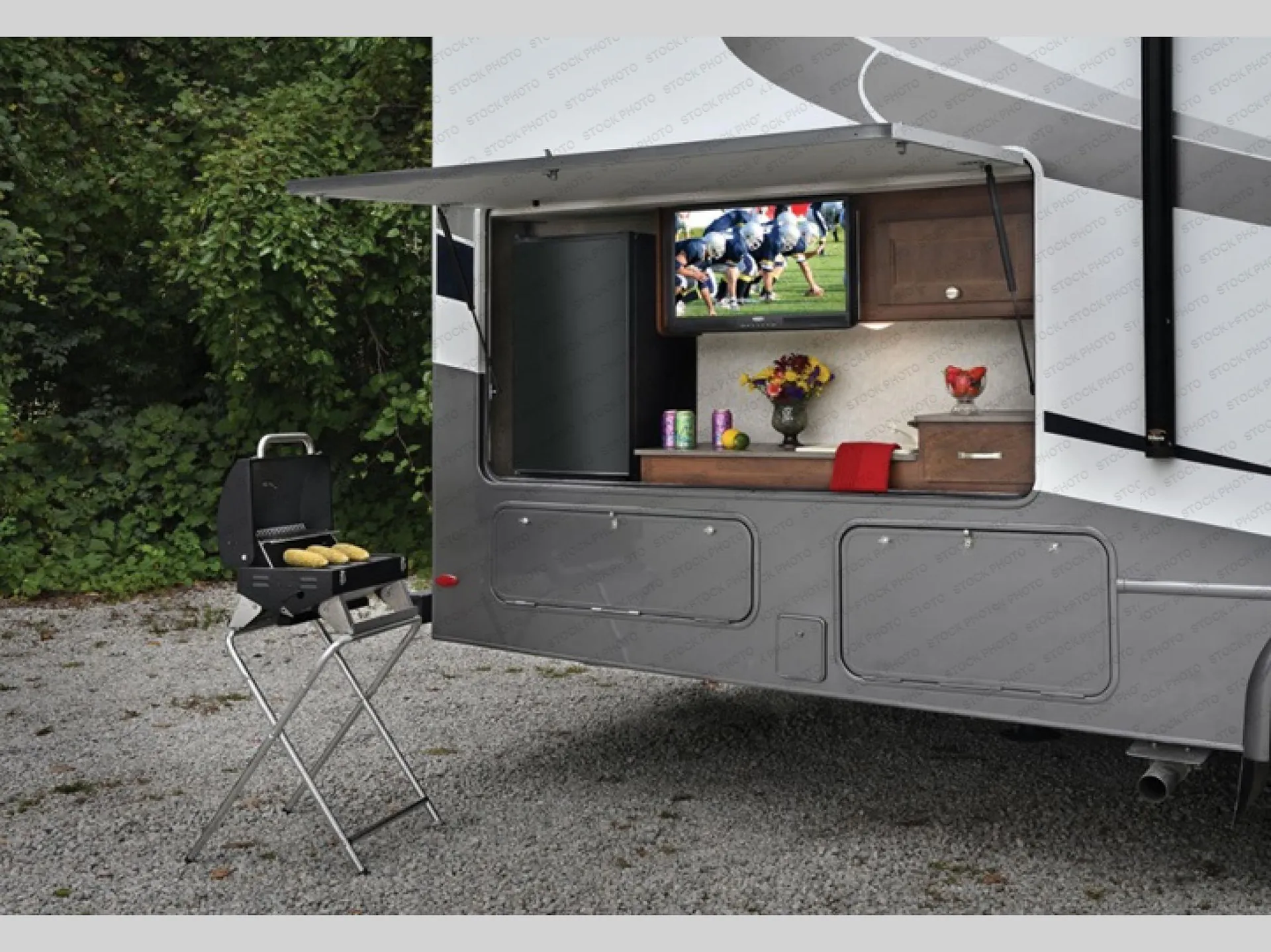 2020 Forest River Forester 2861DS dealer photo 1 from Big Country RV